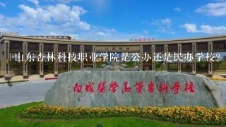 山东杏林科技职业学院是公办还是民办学校？