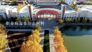 职业病需要什么材料