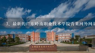 最新的广东岭南职业技术学院青果网外网是多小啊?
