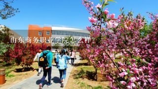 山东商务职业学院怎么样？