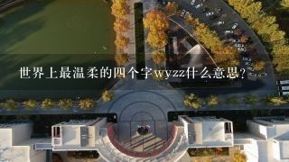 世界上最温柔的四个字wyzz什么意思？