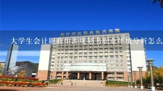 大学生会计职业生涯规划书职业环境分析怎么写