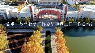 急求：数学教学工作总结和班主任工作总结？谢谢