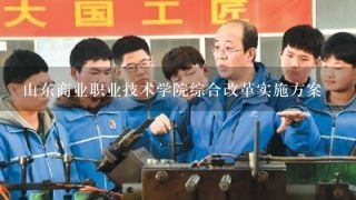 山东商业职业技术学院综合改革实施方案