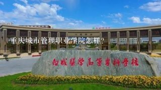 重庆城市管理职业学院怎样？