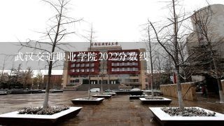 武汉交通职业学院2022分数线