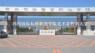 四川国际标榜职业学院是不是野鸡大学？