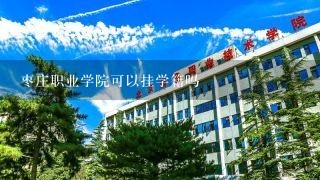 枣庄职业学院可以挂学籍吗