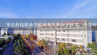 枣庄科技职业学院和枣庄职业学院是一个学校吗