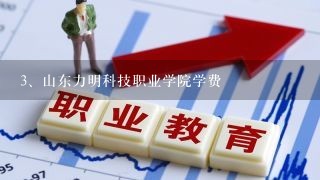 山东力明科技职业学院学费