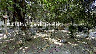 教师师德标兵先进事迹材料