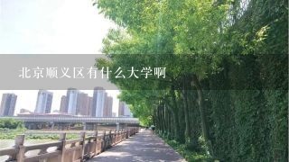 北京顺义区有什么大学啊