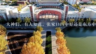 大神们，有人知道，张家口四中好还是东方中学好？？想给孩子选学校