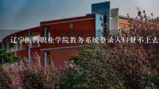 辽宁医药职业学院教务系统登录入口登不上去怎么办