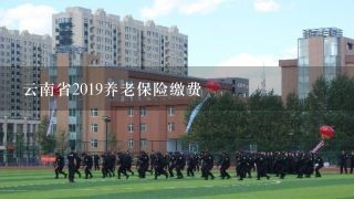 云南省2019养老保险缴费