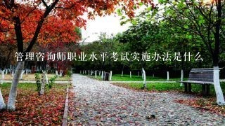 管理咨询师职业水平考试实施办法是什么