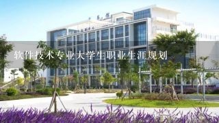 软件技术专业大学生职业生涯规划