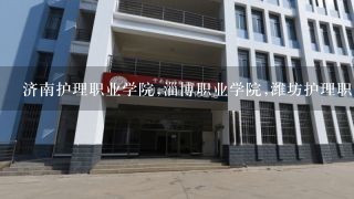 济南护理职业学院,淄博职业学院,潍坊护理职业学院,泰山护理职业学院,山东中医药高等专科学校哪个好？