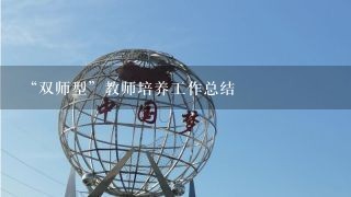 “双师型”教师培养工作总结