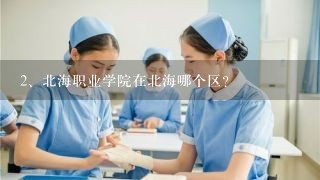 北海职业学院在北海哪个区?