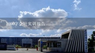 1000字会计实训报告