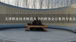 天津职业技术师范大学的财务会计教育专业怎么样？就业怎么样？