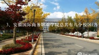 安徽国际商务职业学院总共有几个校区(各专业新生在