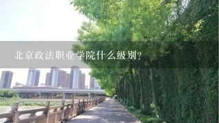 北京政法职业学院什么级别？