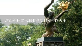 塔沟少林武术职业学院14岁可以去不