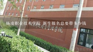 杨凌职业技术学院 新生报名总要带多少钱