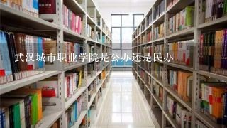 武汉城市职业学院是公办还是民办