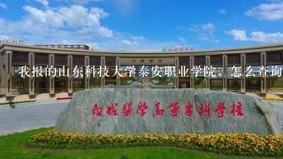 我报的山东科技大学泰安职业学院，怎么查询我被录取没？很着急现在..........