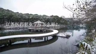 江苏医药职业学院怎么样？