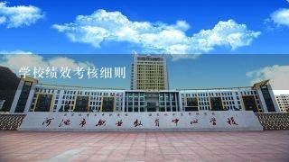 学校绩效考核细则