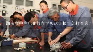 湖南省中等职业教育学历认证报告怎样查询？