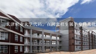 天津职业大学代码。在河北招生属于专科几批。