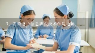 安徽电子信息职业技术学院地址