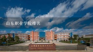 山东职业学院排名