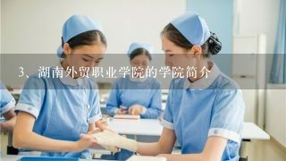 湖南外贸职业学院的学院简介