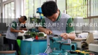 陕西工商职业学院怎么样？？？和咸阳职业技术学院相比那个更好一点？？？