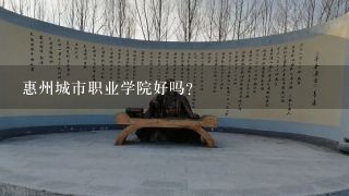 惠州城市职业学院好吗？