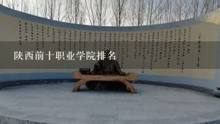 陕西前十职业学院排名