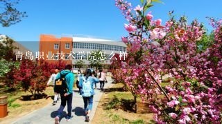 青岛职业技术学院怎么样