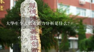 大学生个人职业能力分析是什么？