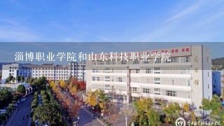 淄博职业学院和山东科技职业学院