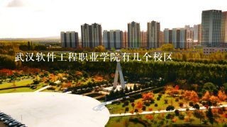 武汉软件工程职业学院有几个校区