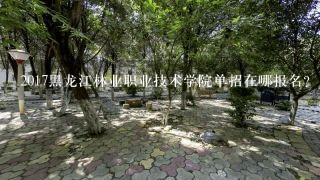 2017黑龙江林业职业技术学院单招在哪报名？