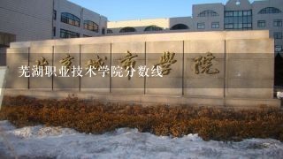 芜湖职业技术学院分数线