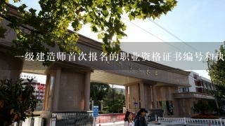 一级建造师首次报名的职业资格证书编号和执业证书管理号是指什么?