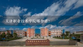 天津职业技术学院哪个省？